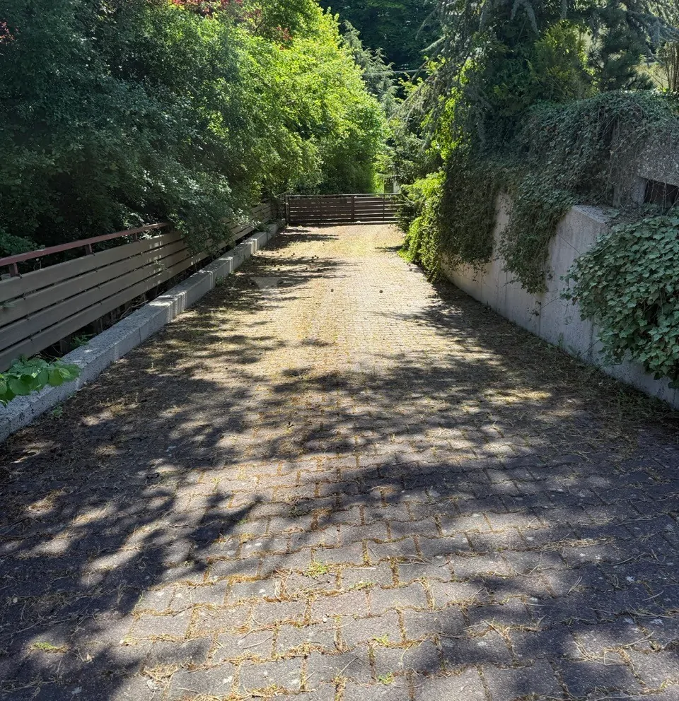 Seitliche Zufahrt zum Garten