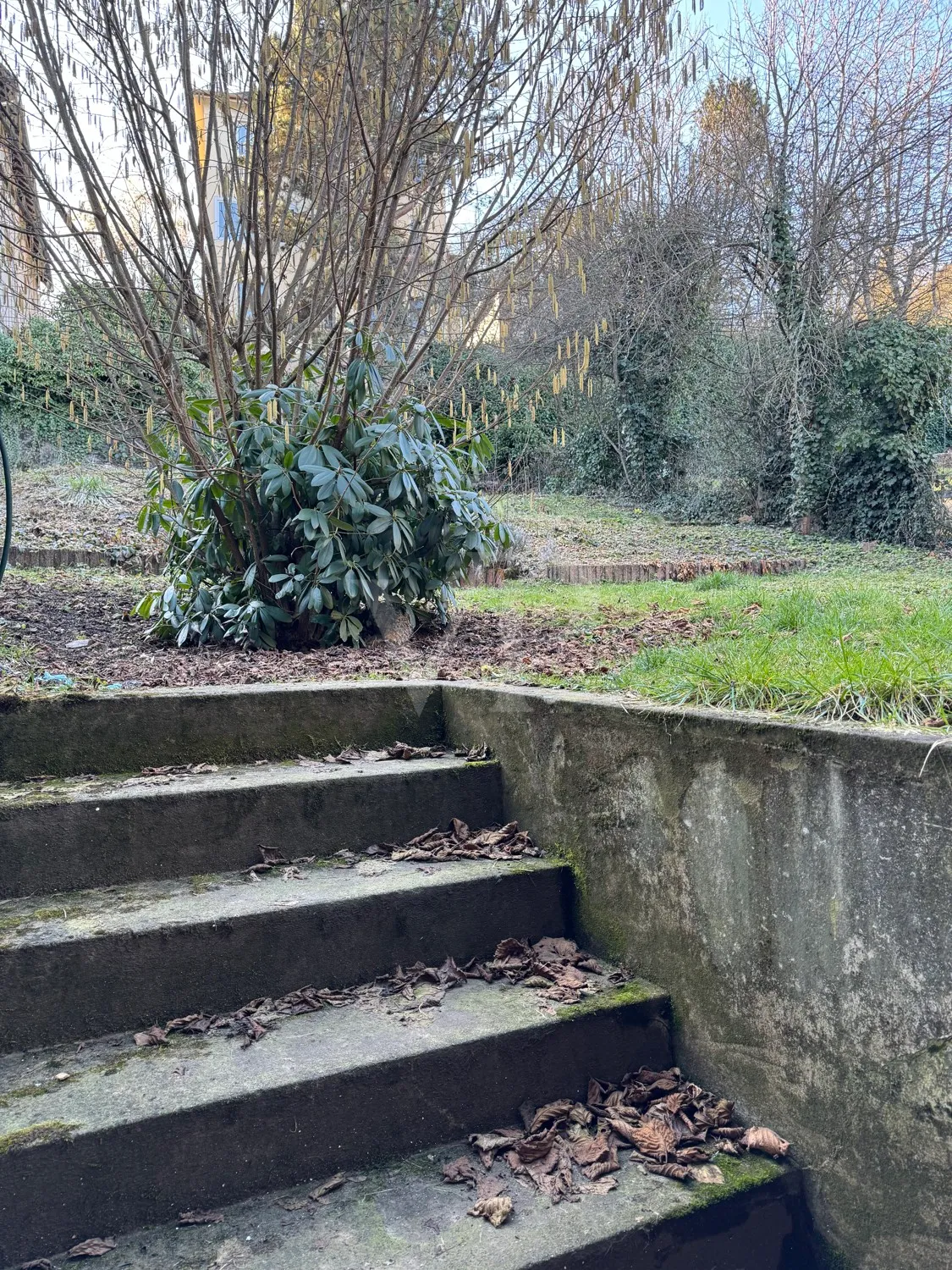 Treppe zum Garten