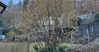 von_poll_real_estate_property_26451010_image_30