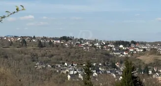 von_poll_real_estate_property_25451102_image_6