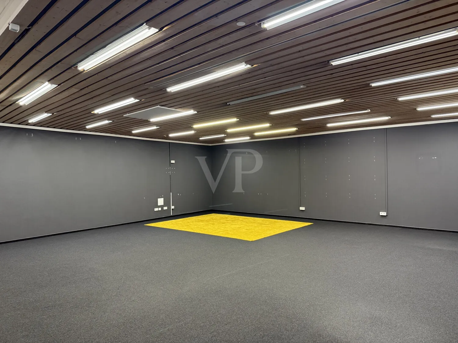 EG-Gewerbefläche (1)