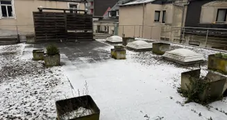 von_poll_real_estate_property_26451002_image_17