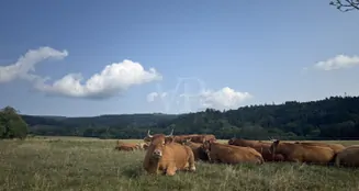 von_poll_real_estate_property_26451001_image_27