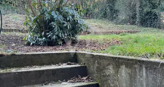 von_poll_real_estate_property_26451003_image_29