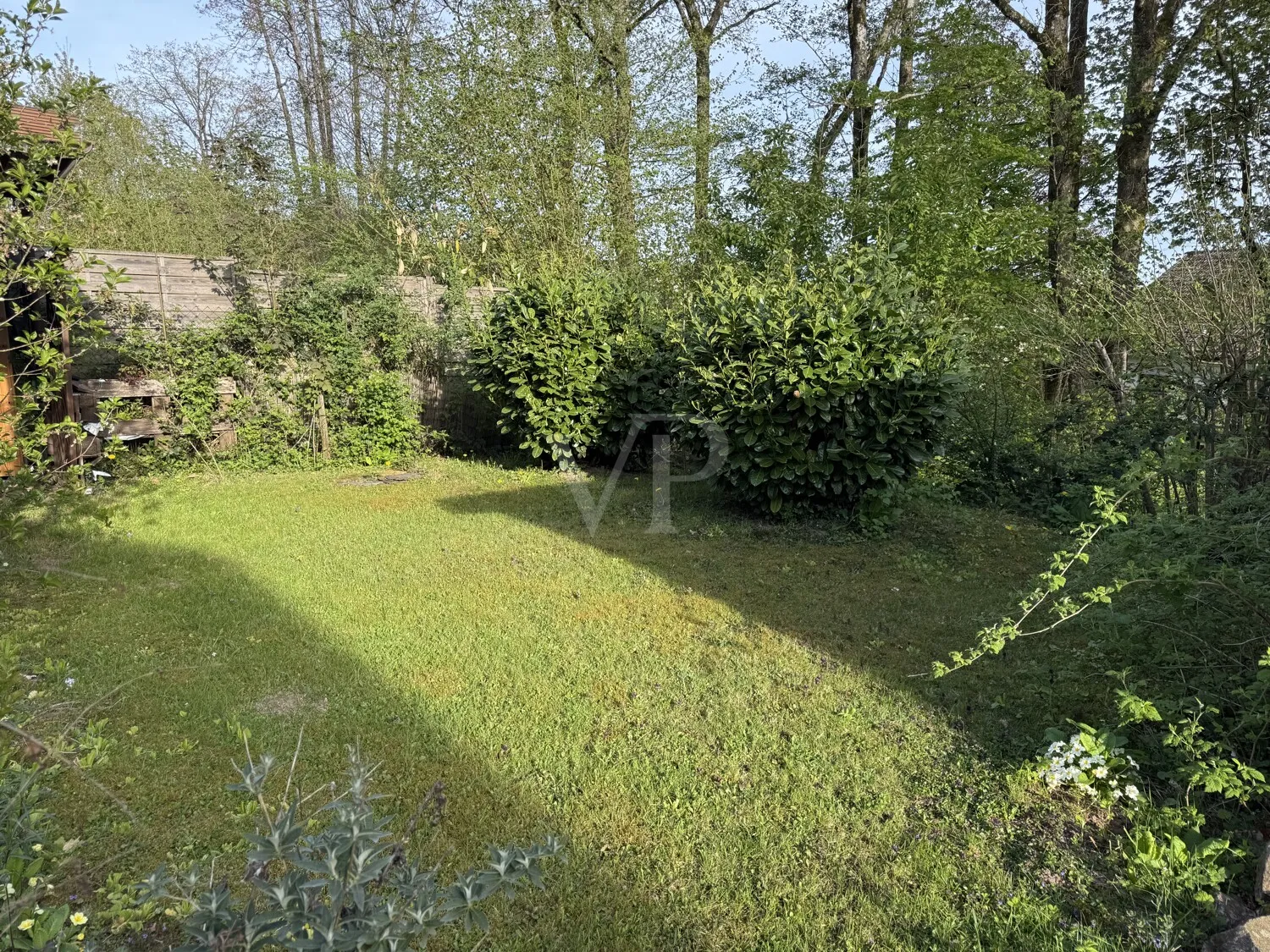 Garten (2)