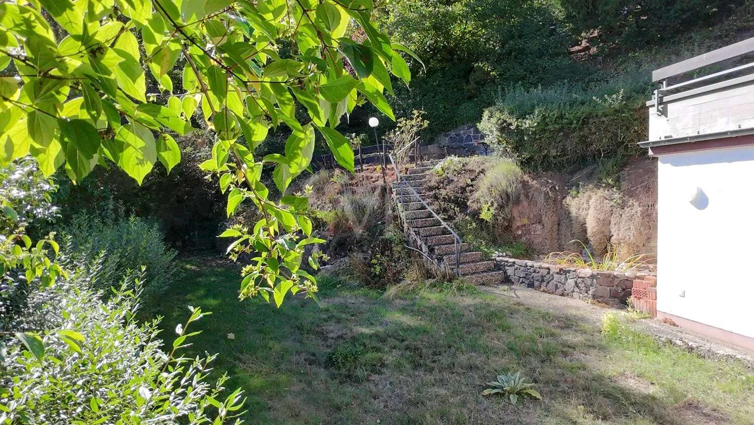 Blick in den Garten