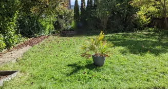 von_poll_real_estate_property_25108007_image_17