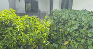 von_poll_real_estate_property_25108005_image_12