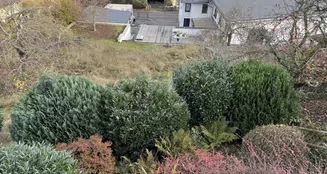 von_poll_real_estate_property_25108009_image_30