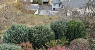 von_poll_real_estate_property_25108009_image_30