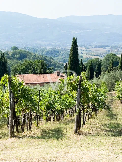 Traumhaus im Herzen von Mugello!