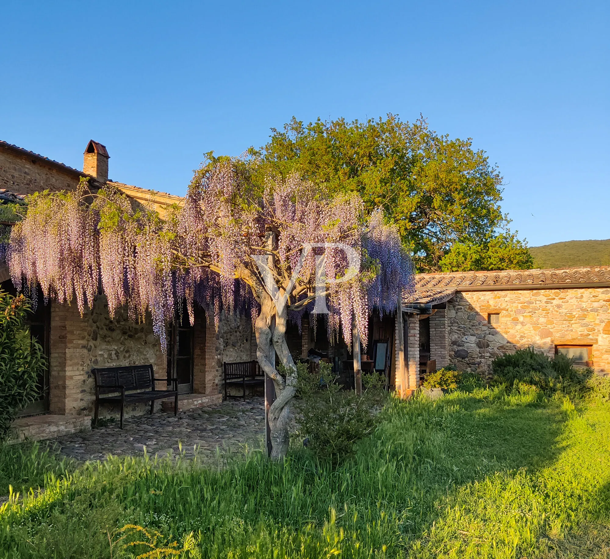 Exklusives Landgut mit restauriertem Naturstein-Casale, Weinbergen, zwei Pools und Grund in Maremma