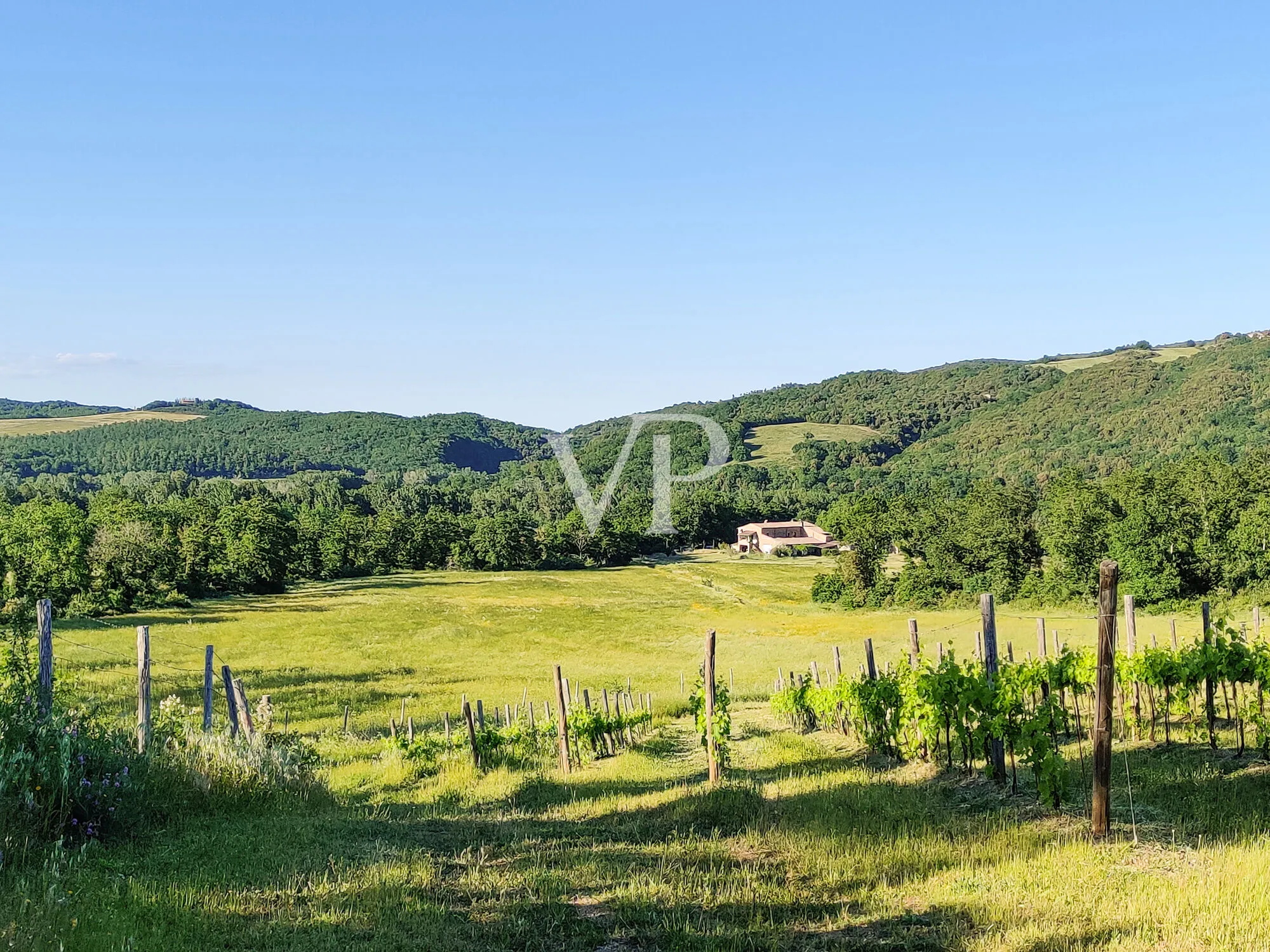 Exklusives Landgut mit restauriertem Naturstein-Casale, Weinbergen, zwei Pools und Grund in Maremma