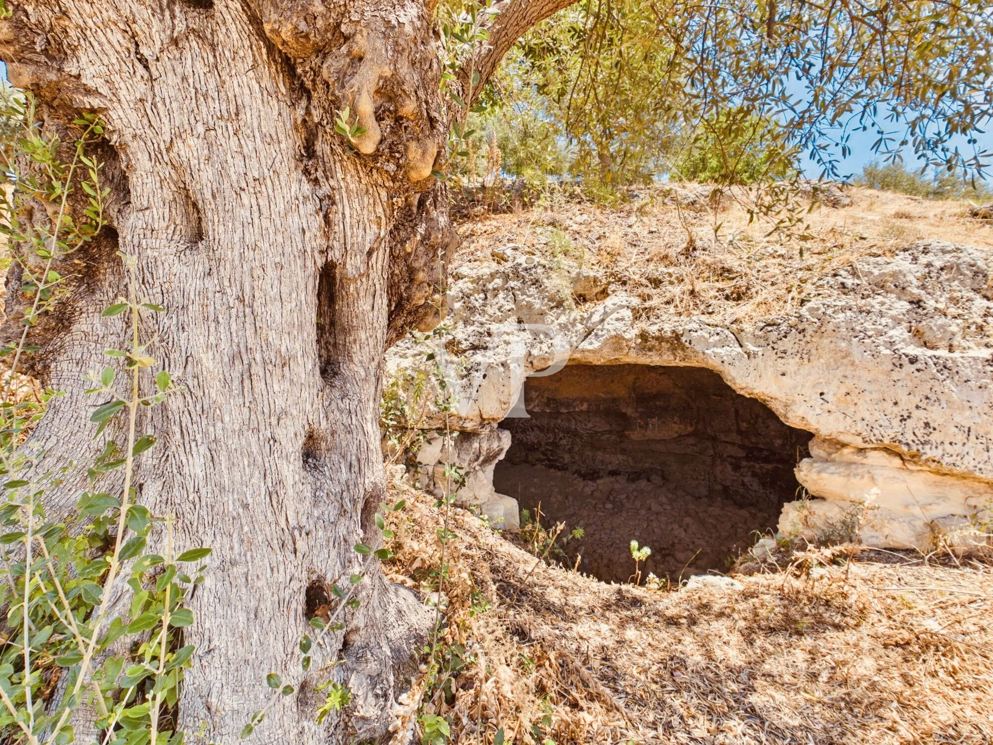 Esclusivo casale di campagna situato a soli quattro chilometri da Noto, la capitale del Barocco