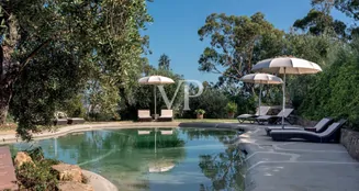 von_poll_real_estate_property_IT23492792_image_57