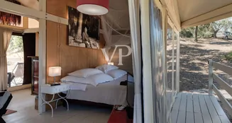 von_poll_real_estate_property_IT23492792_image_22