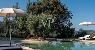 von_poll_real_estate_property_IT23492792_image_0