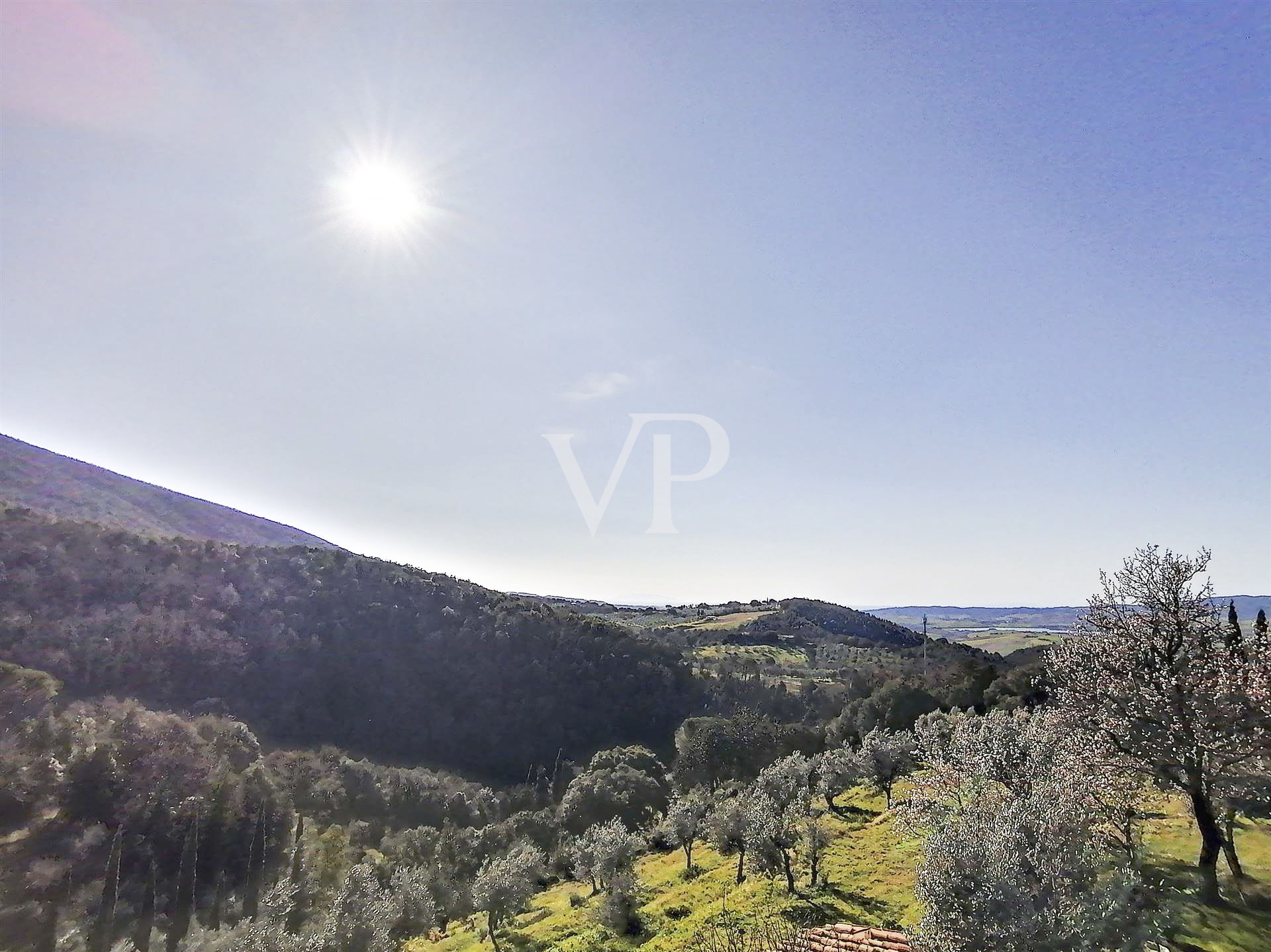Casale rustico diviso in 4 appartamenti