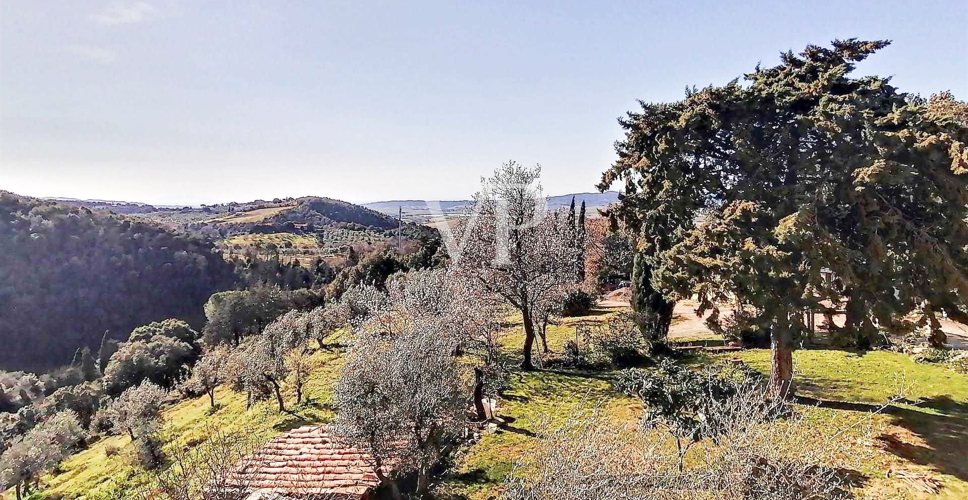 Casale rustico diviso in 4 appartamenti