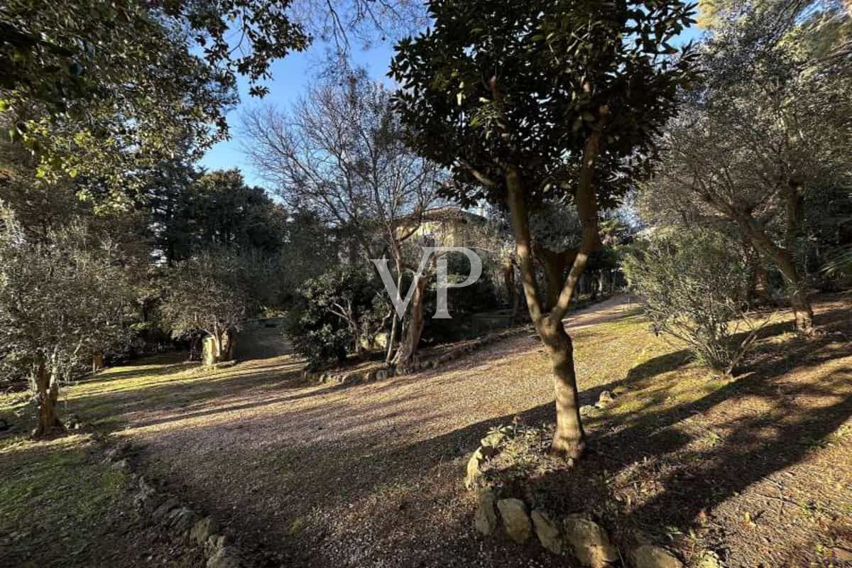 Unique historic property with spacious outdoor area