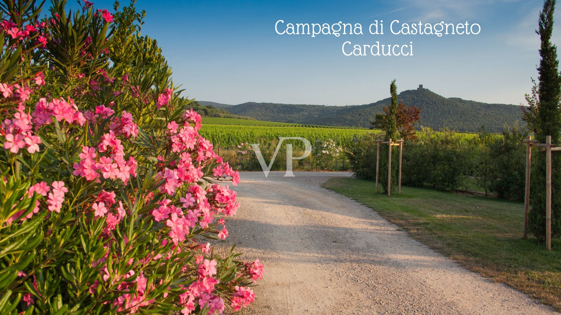 campagna di  Castagneto