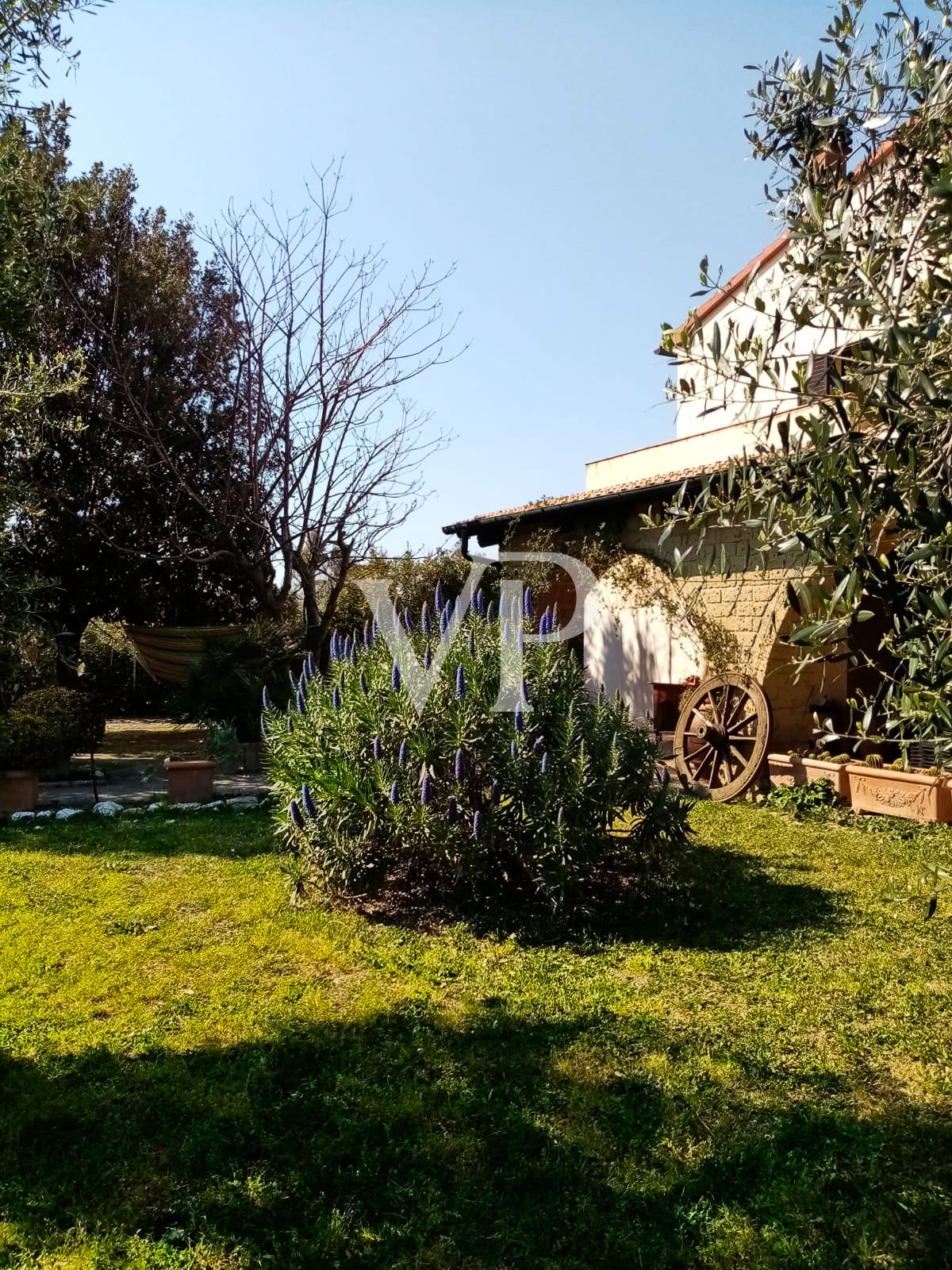 Single house for sale in Piombino (LI)