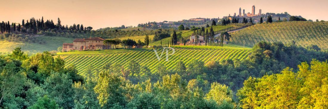 Complejo vinícola Azienda Agricola 'Borgo Tollena