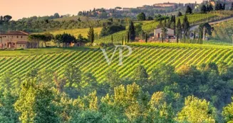 von_poll_real_estate_property_IT244151263_image_4