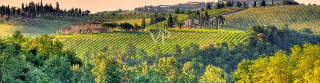 Azienda Agricola "Borgo Tollena" Wine Resort