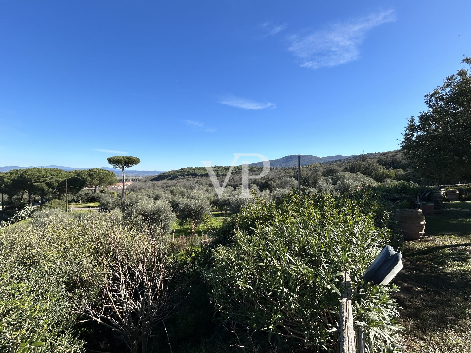 Villa with enchanting panoramic views and olive grove in a dominant position above the port of Scarlino