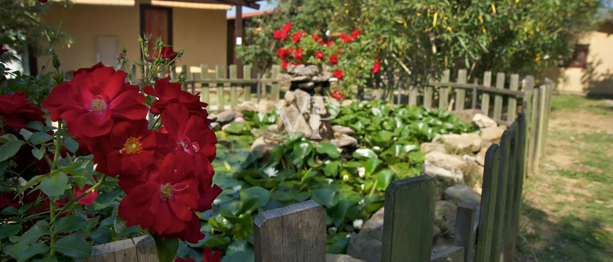 Grüne Oase: Camping am Meer in der Maremma