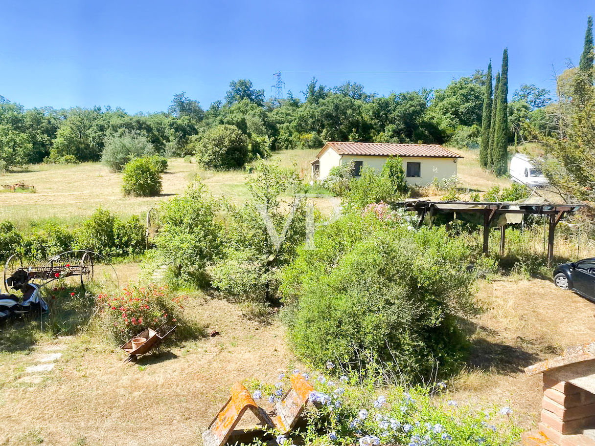 Toscane : Ferme typique avec oliveraie