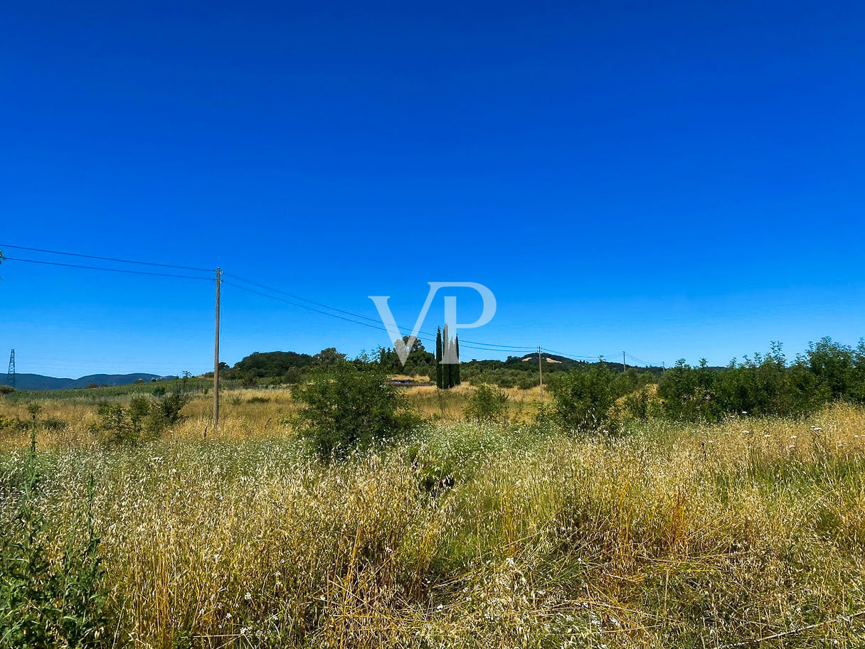 Toscane : Ferme typique avec oliveraie