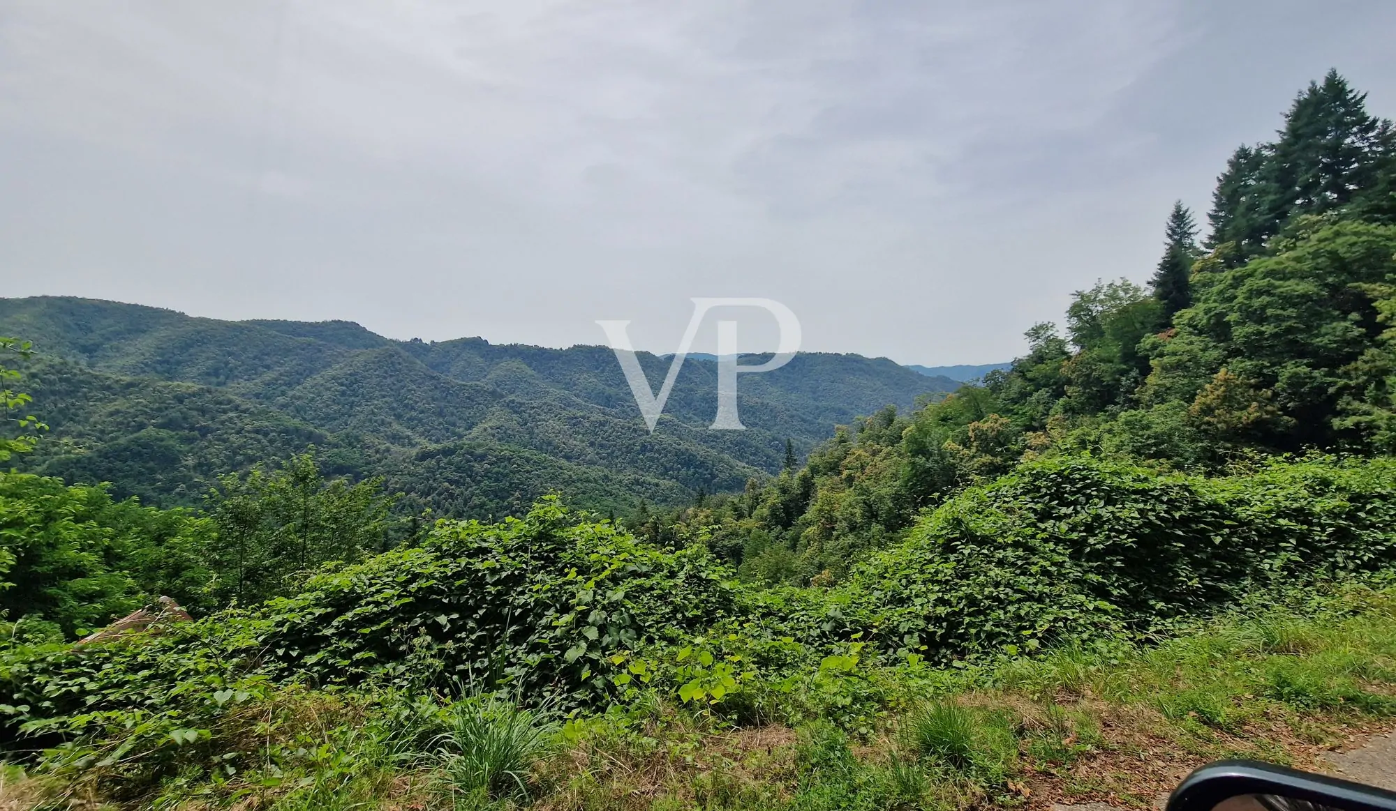 Palazzo Tereglio - stile di altri tempi con grande potenzialità