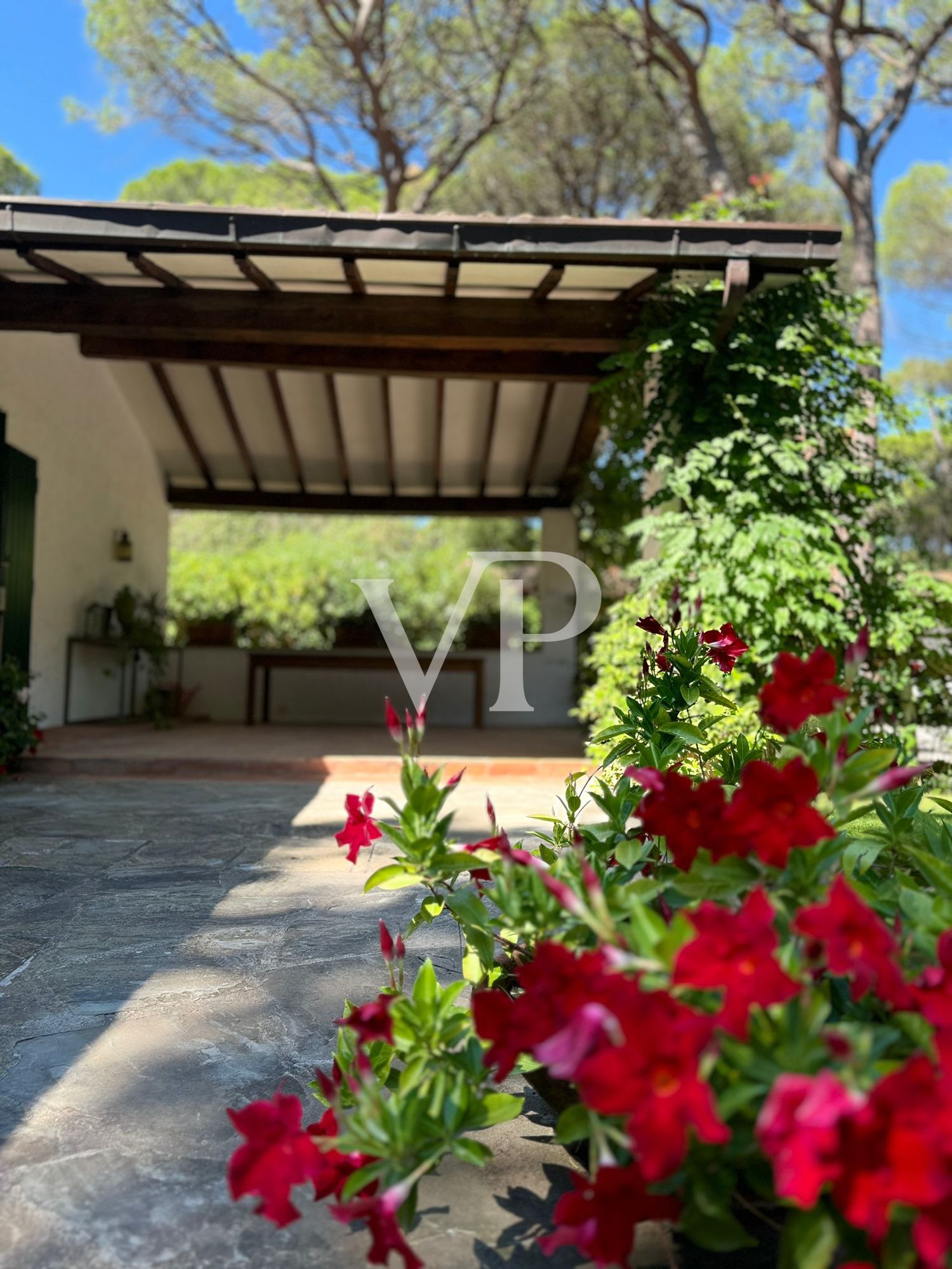 Villa de prestige à Roccamare, Grosseto - Un rêve au bord de la mer