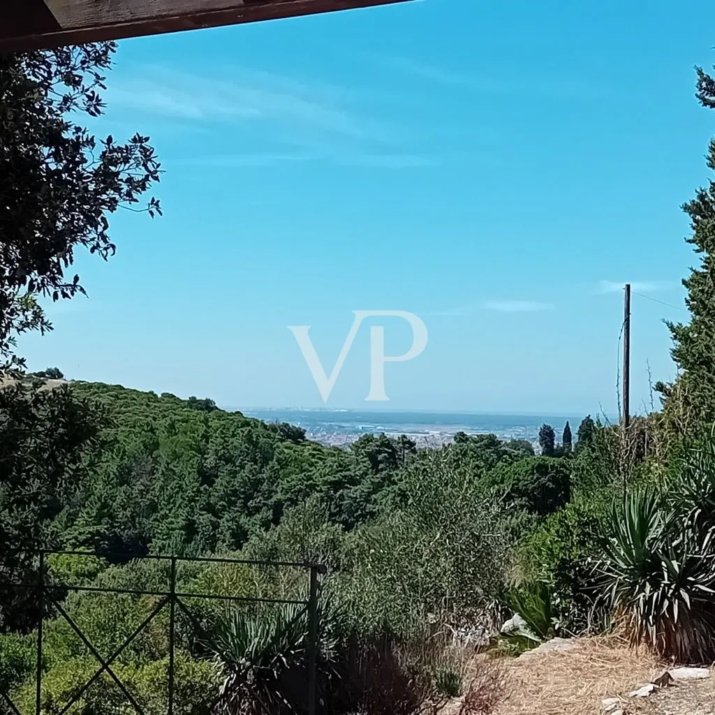 Casale ristrutturato circondato da c.a. 12.000 mq di terreno