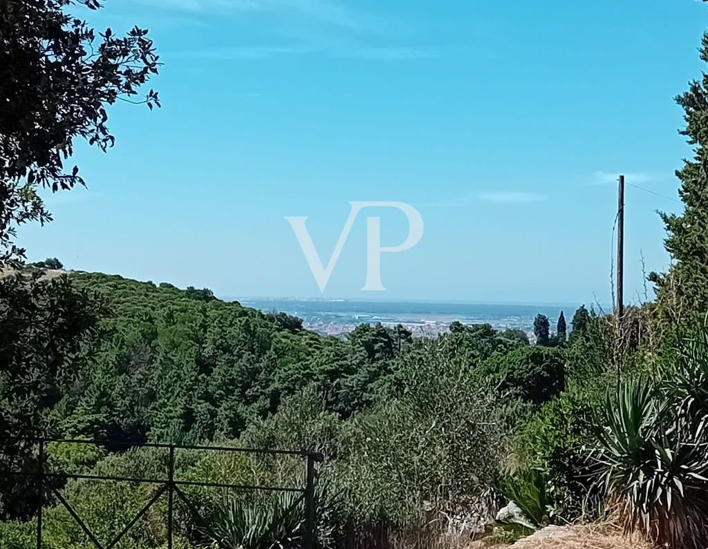 Casale ristrutturato circondato da c.a. 12.000 mq di terreno