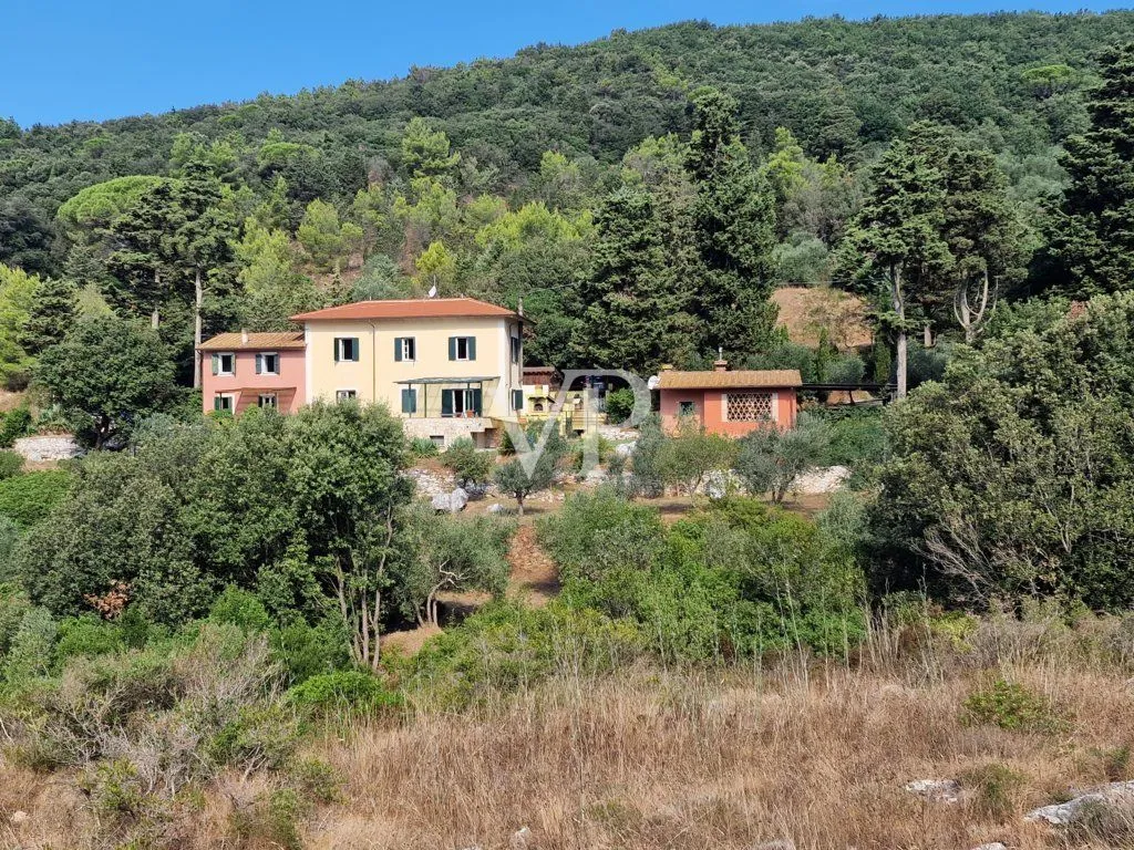 Casale ristrutturato circondato da c.a. 12.000 mq di terreno