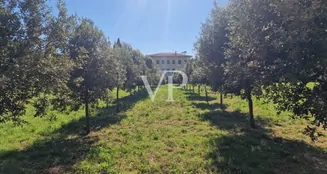 von_poll_real_estate_property_IT242941666_image_52