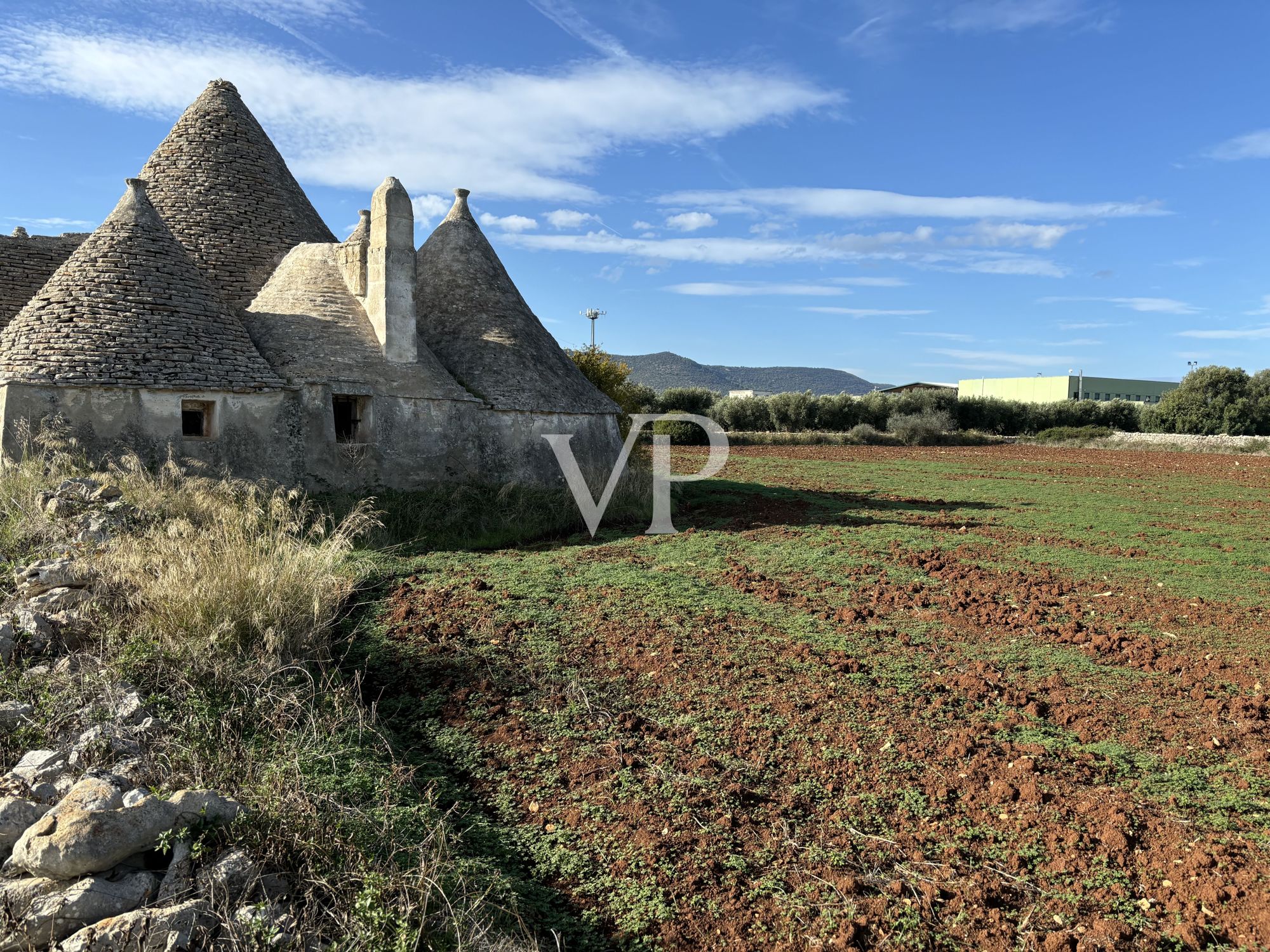 Trulli característico con 10 hectáreas de olivares