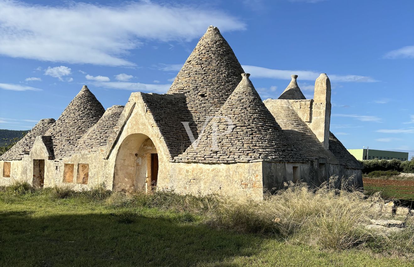 Trulli caractéristiques avec 10 hectares d'oliveraies