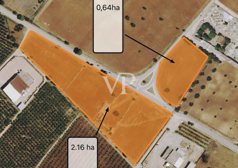 Trulli característico con 10 hectáreas de olivares