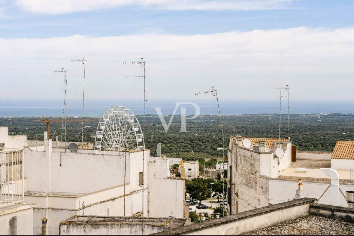 Trulli caractéristiques avec 10 hectares d'oliveraies