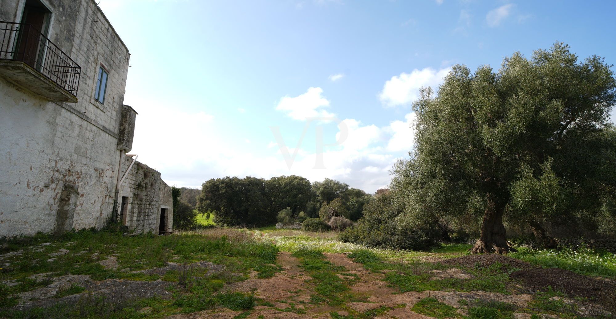 DSC06663