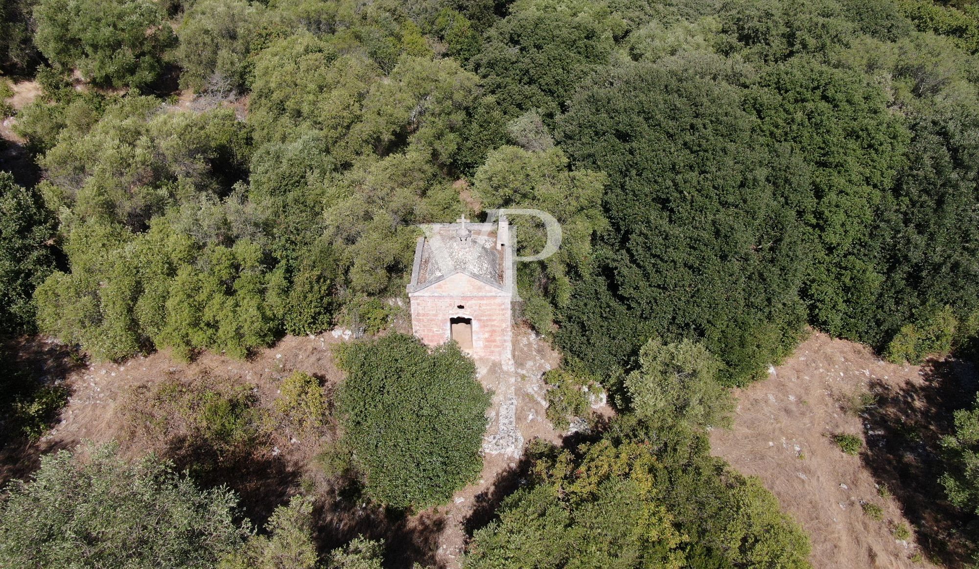 DJI_0944