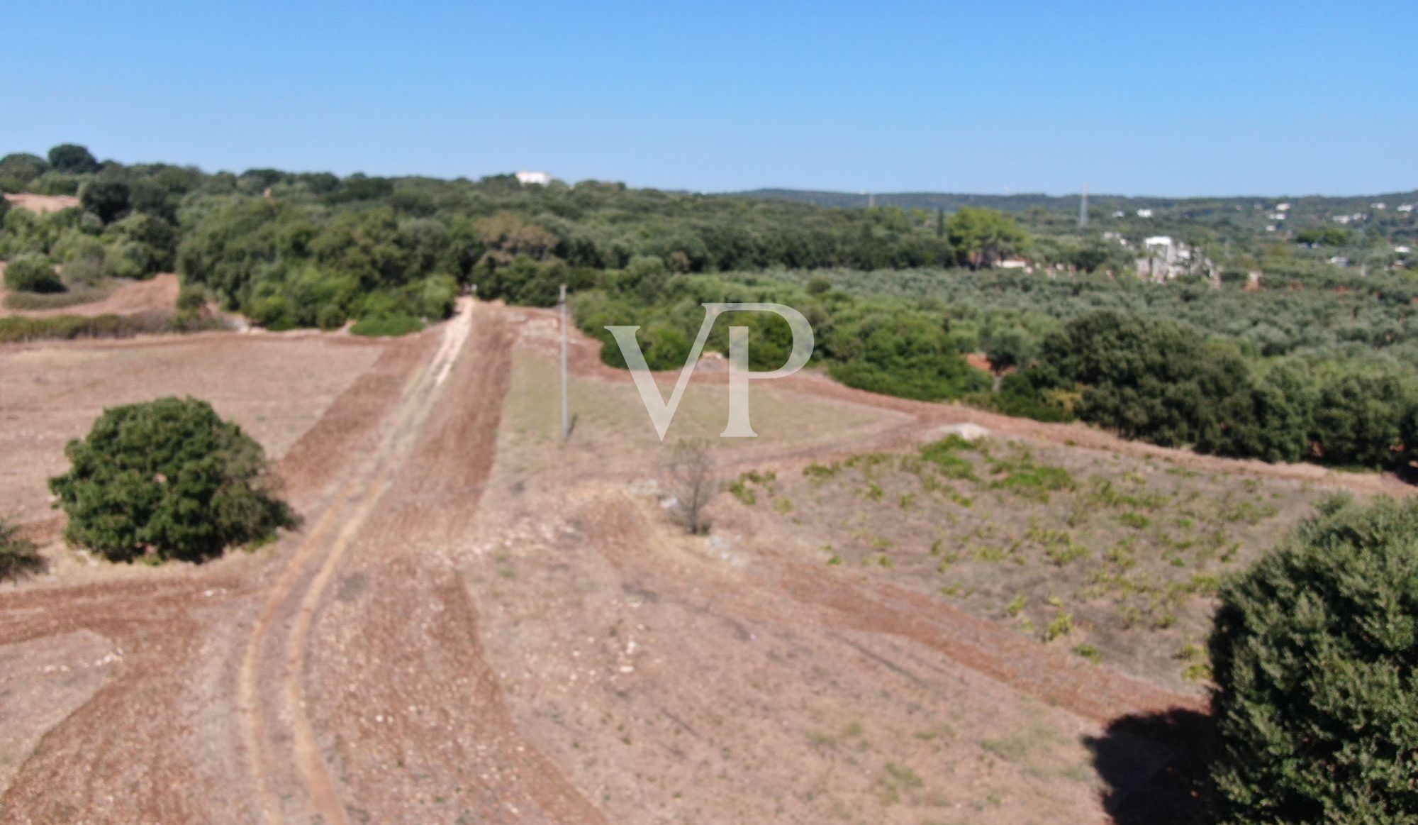 DJI_0955