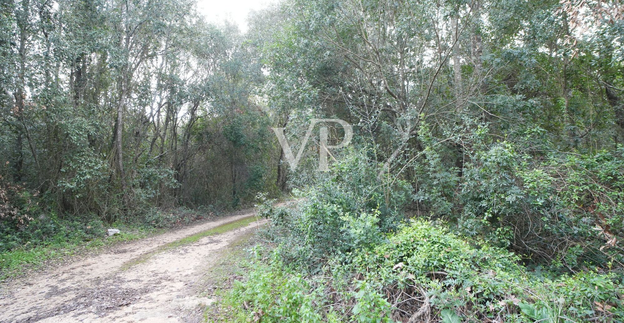 DSC06695