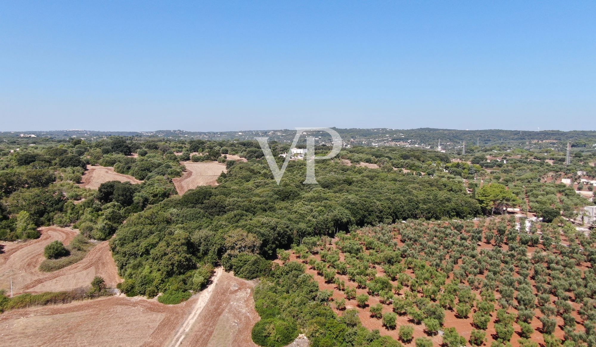 DJI_0959