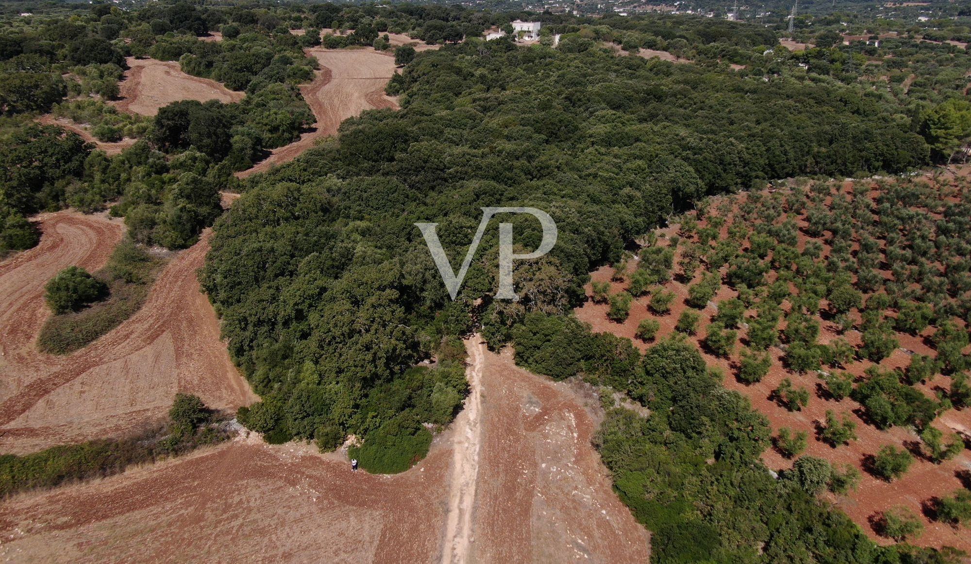 DJI_0951