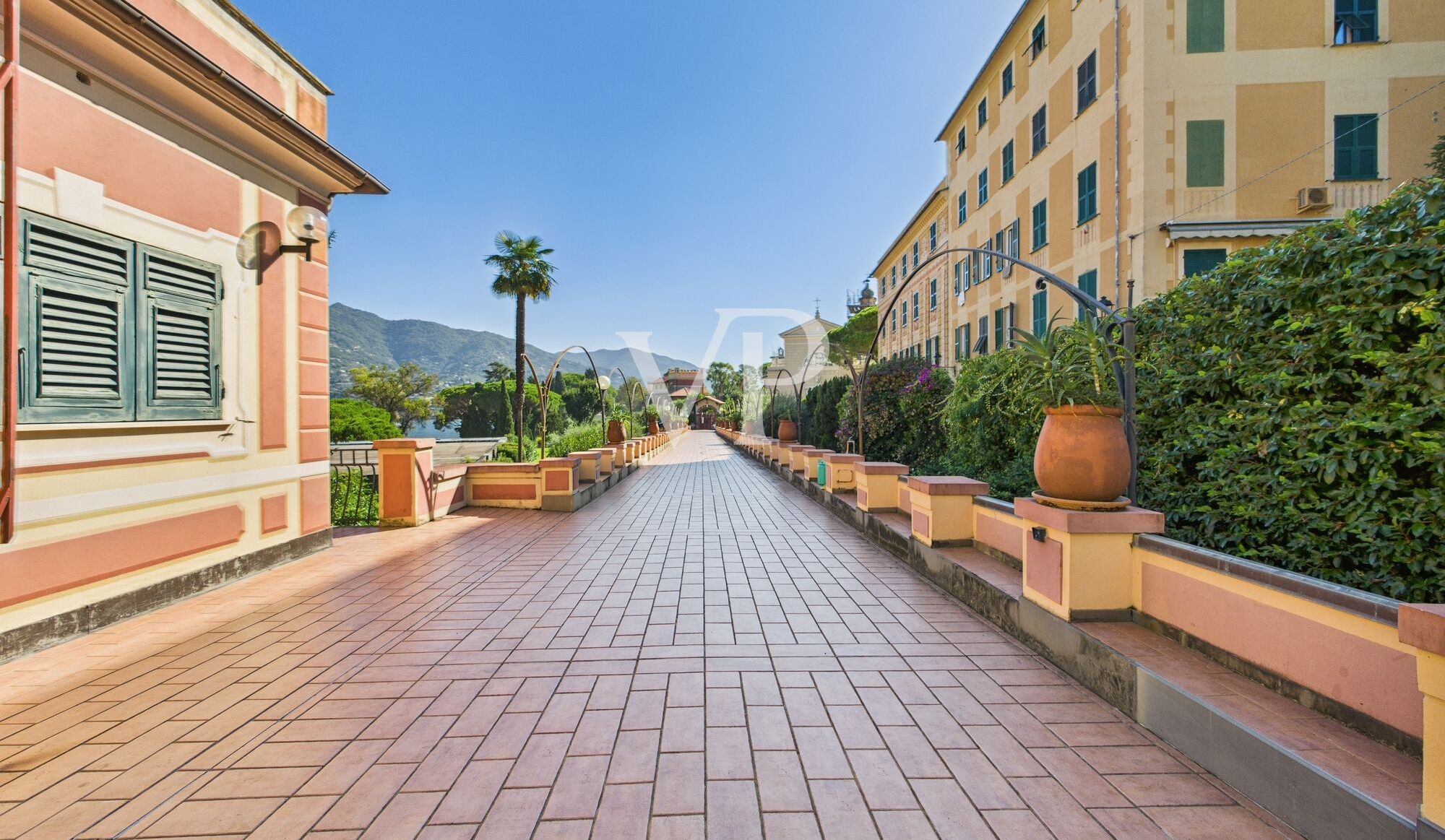 Viale ingresso